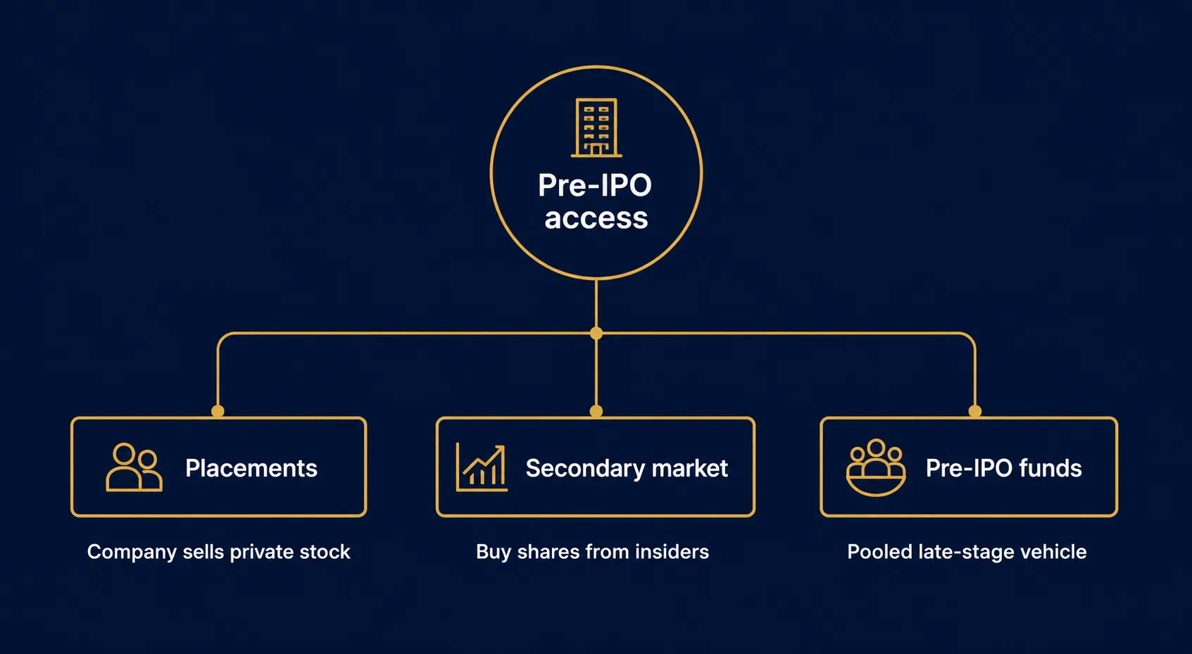 Diagram showing three routes to pre-IPO exposure: placements, secondary market, and pre-IPO funds